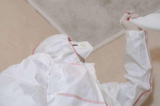 Best Mold Remediation  in Waverly, MI